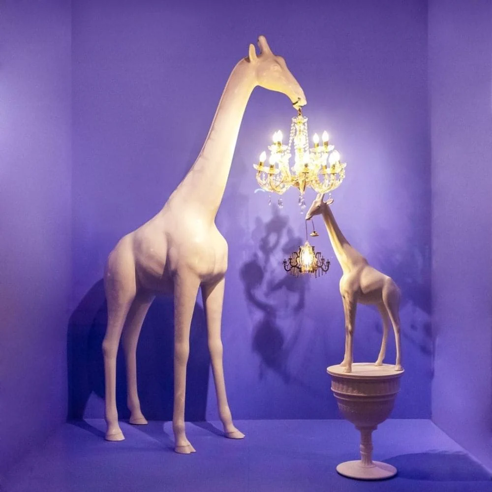 dreamy giraffe holding a classic Marie in blue background